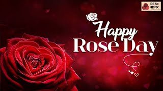 valentines week rose day